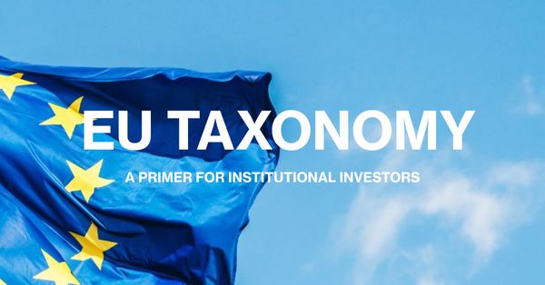 Decoding the EU Taxonomy: A Primer for Institutional Investors